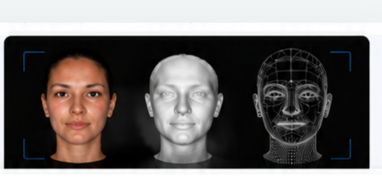 3D facial capture shown as colour texture, mesh and landmark tracing