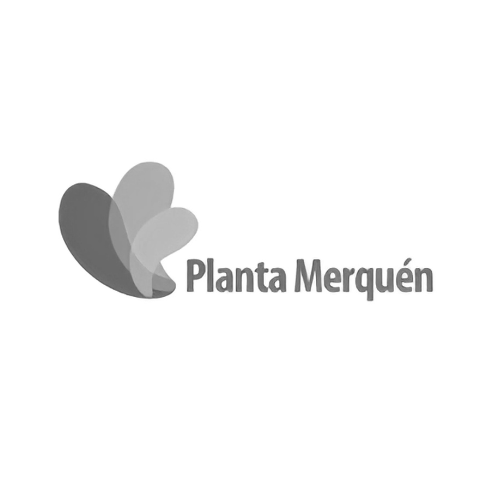 Cliente 8