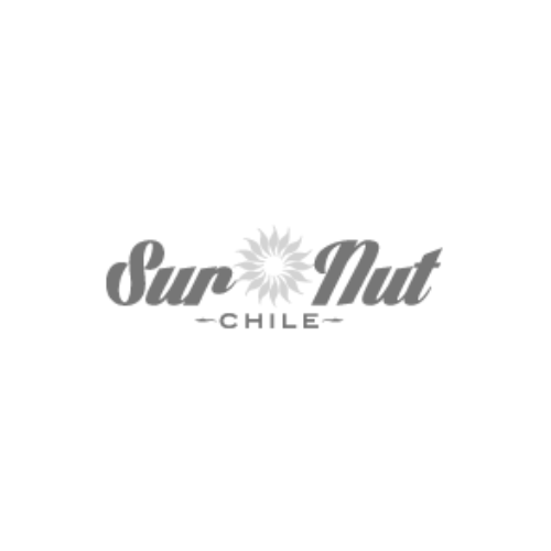Cliente 10