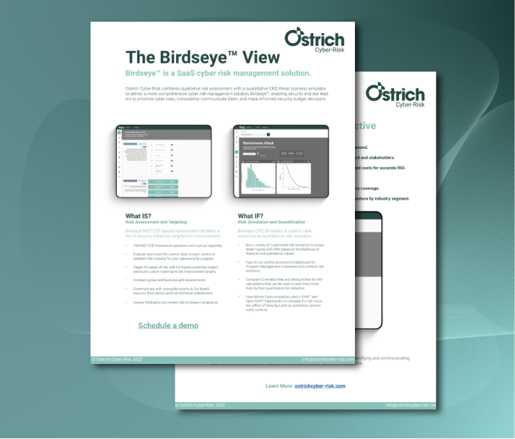 Ostrich Resources — Ostrich Cyber-Risk