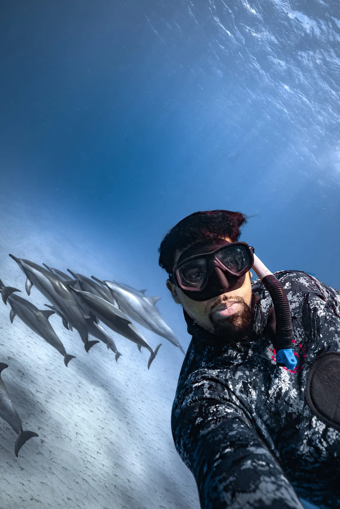 Nick freediving alongside a pod of dolphins