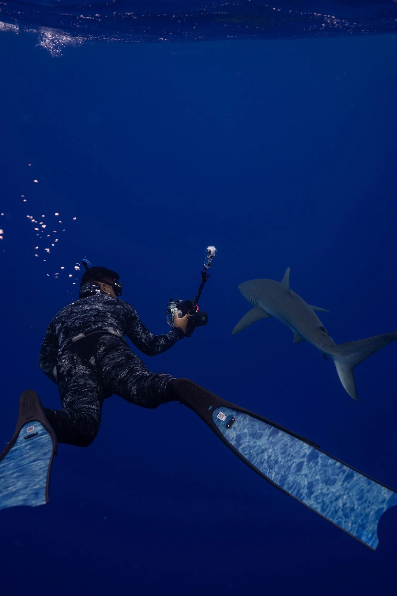 Nick freediving toward a shark with camera in hand