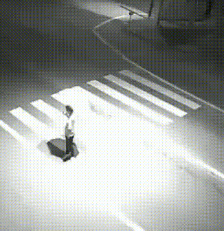 Pedestrian Detection