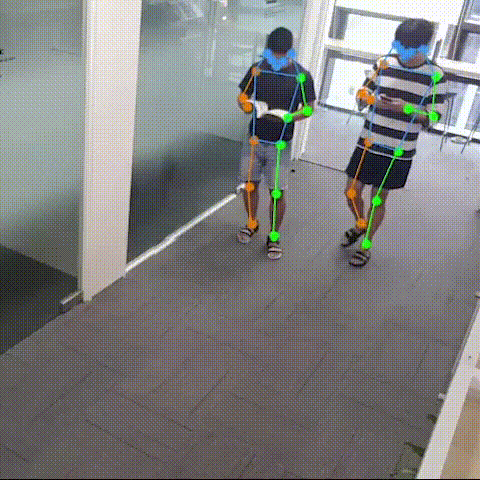 Fall Detection