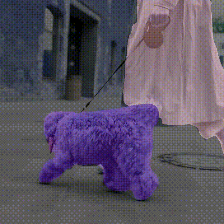 Semantic Segmentation