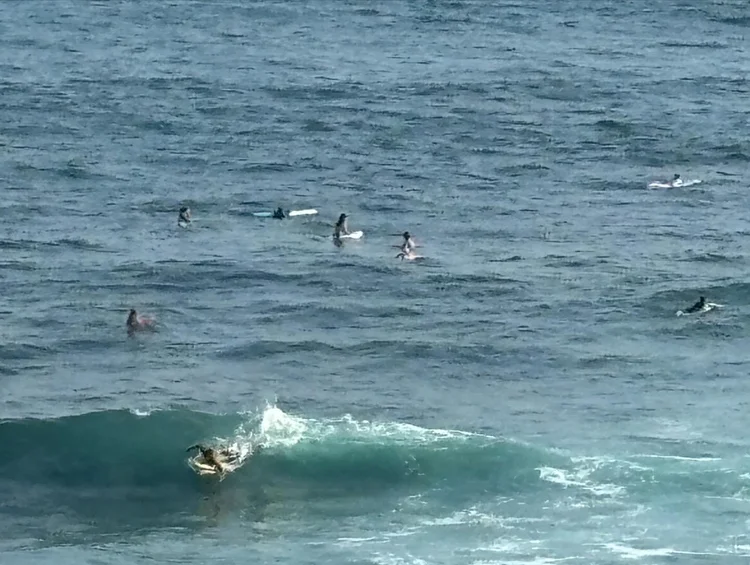 View from 20th St in Manhattan Beach 