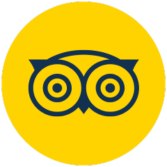 TripAdvisor Reviews icon - Travel and hospitality reviews
