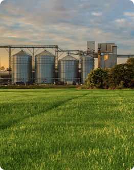 Fibras volátiles Clase III