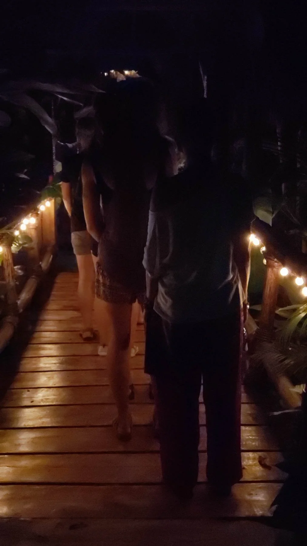 Rope bridge lit with string lights at night at the jungle treehouse village in Samana, Dominican Republic
