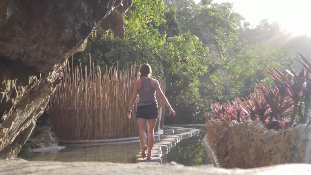 Jungle treehouse village in Samaná, Dominican Republic yoga retreat