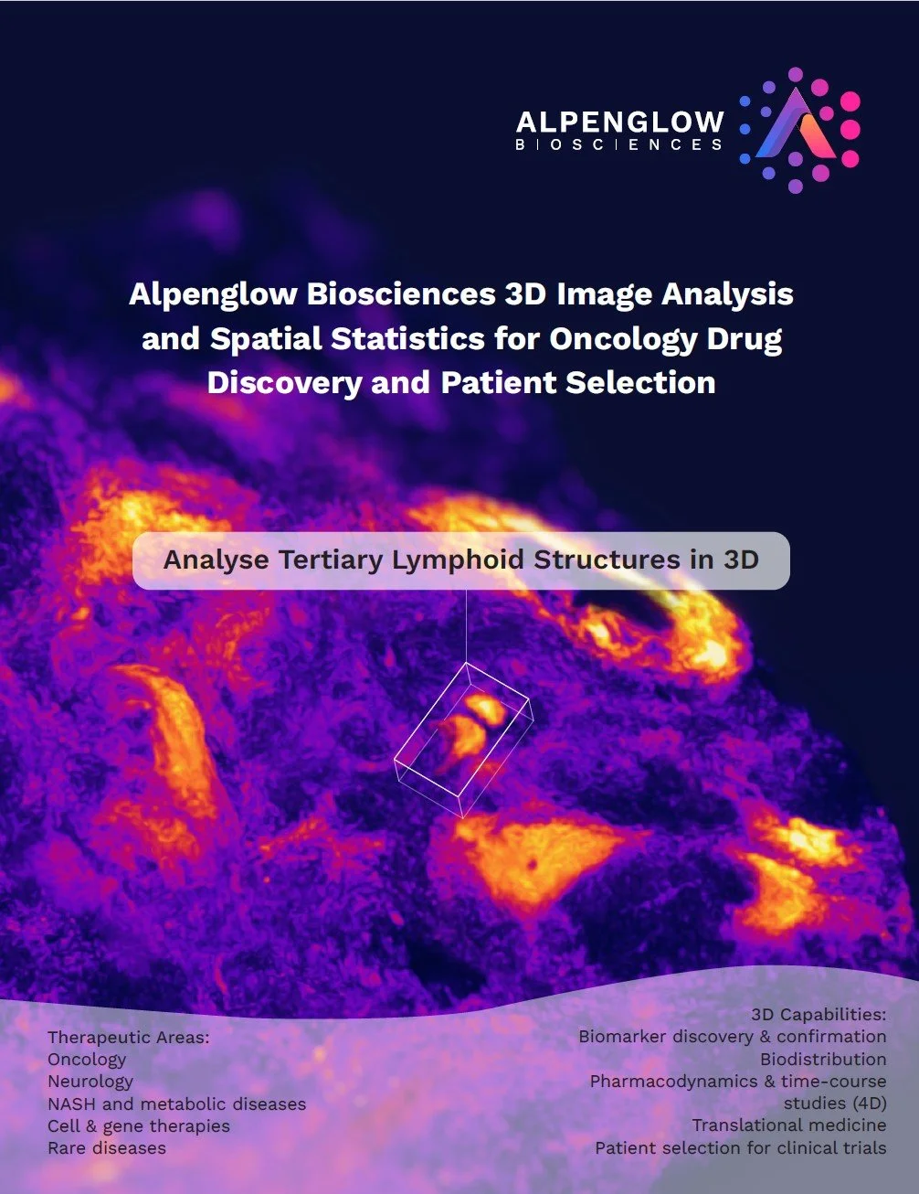 Tertiary lymphoid structures in 3D brochure cover