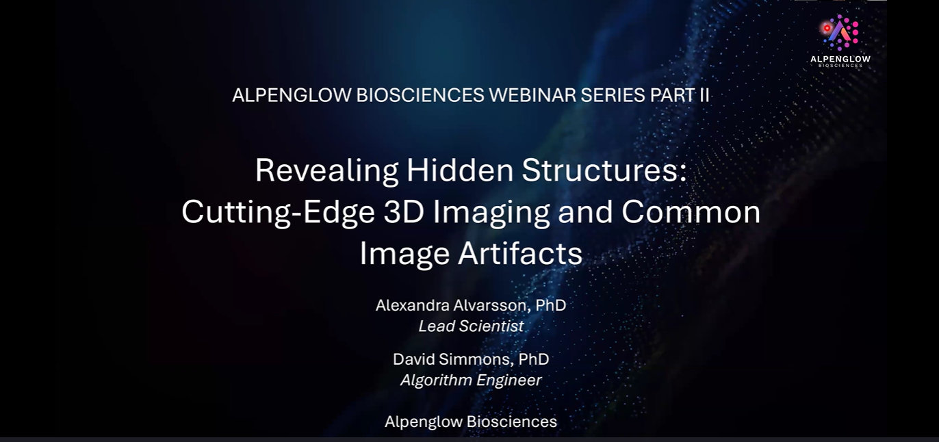 3D Imaging and Image Artifacts Webinar