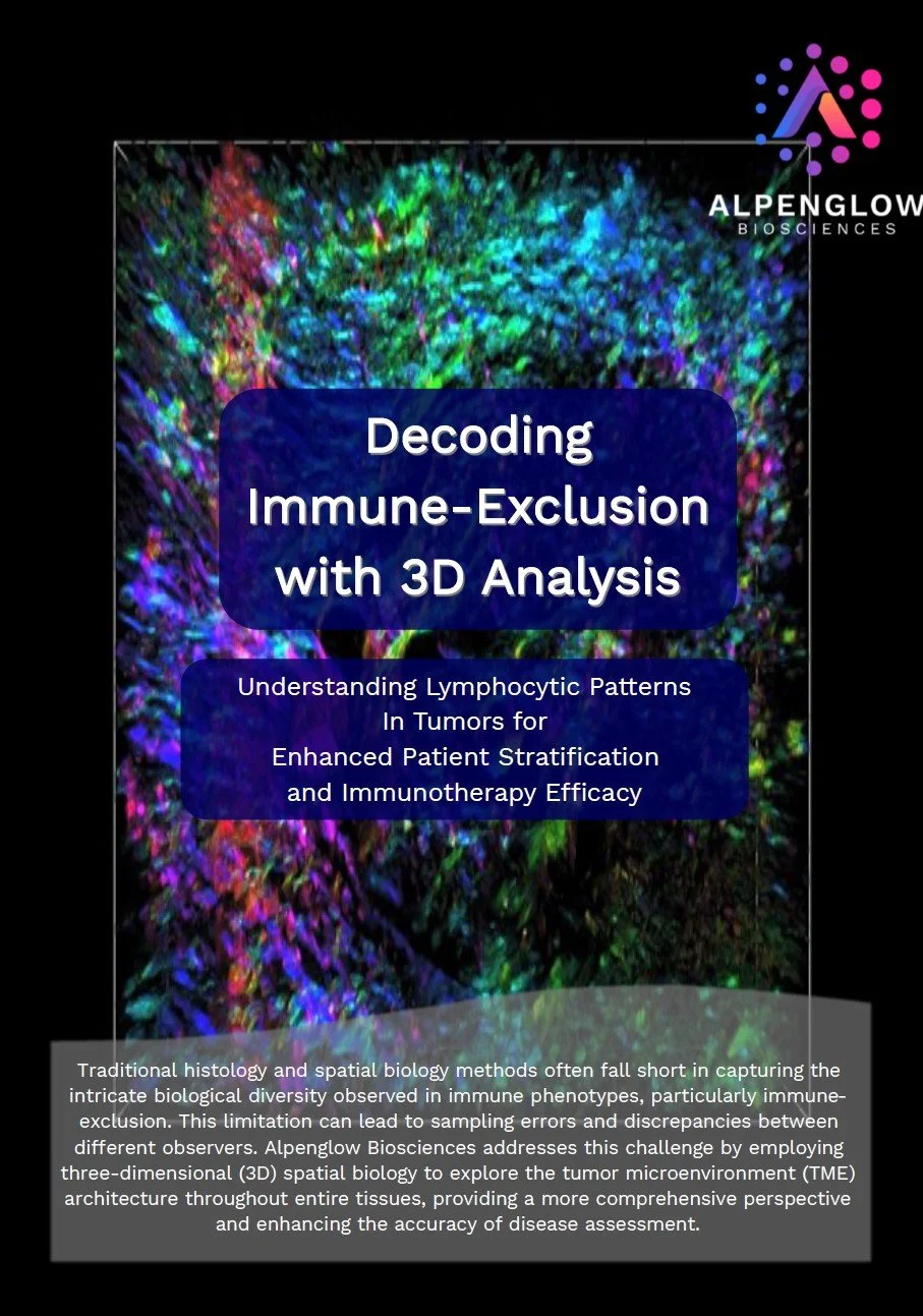 3D lymphocyte distribution and immune-exclusion analysis in tumor tissue