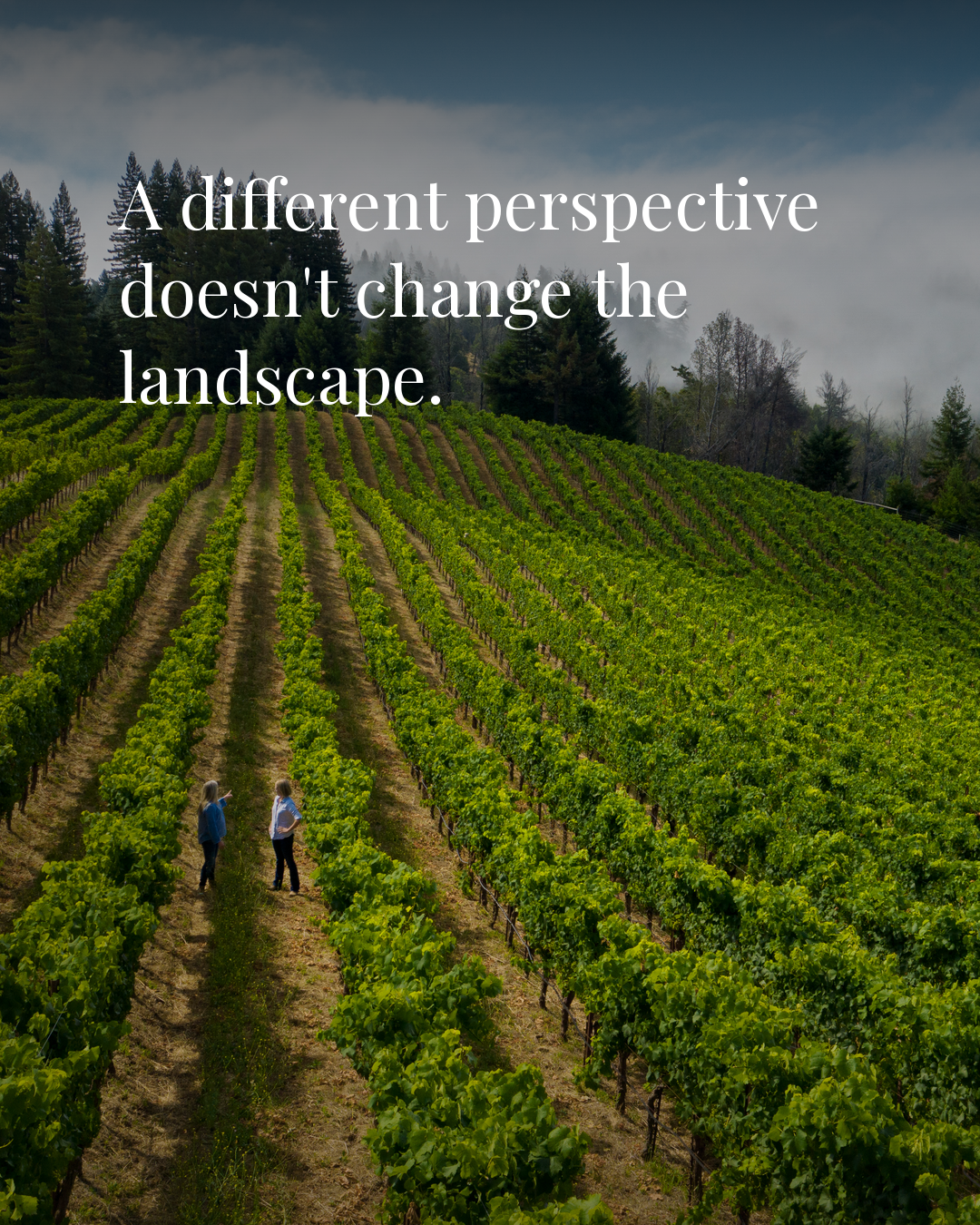 A different perspective doesn’t change the landscape.