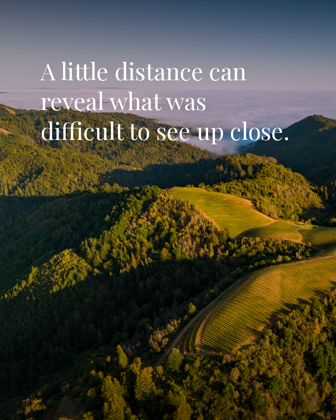 A little distance can reveal what was difficult to see up close.