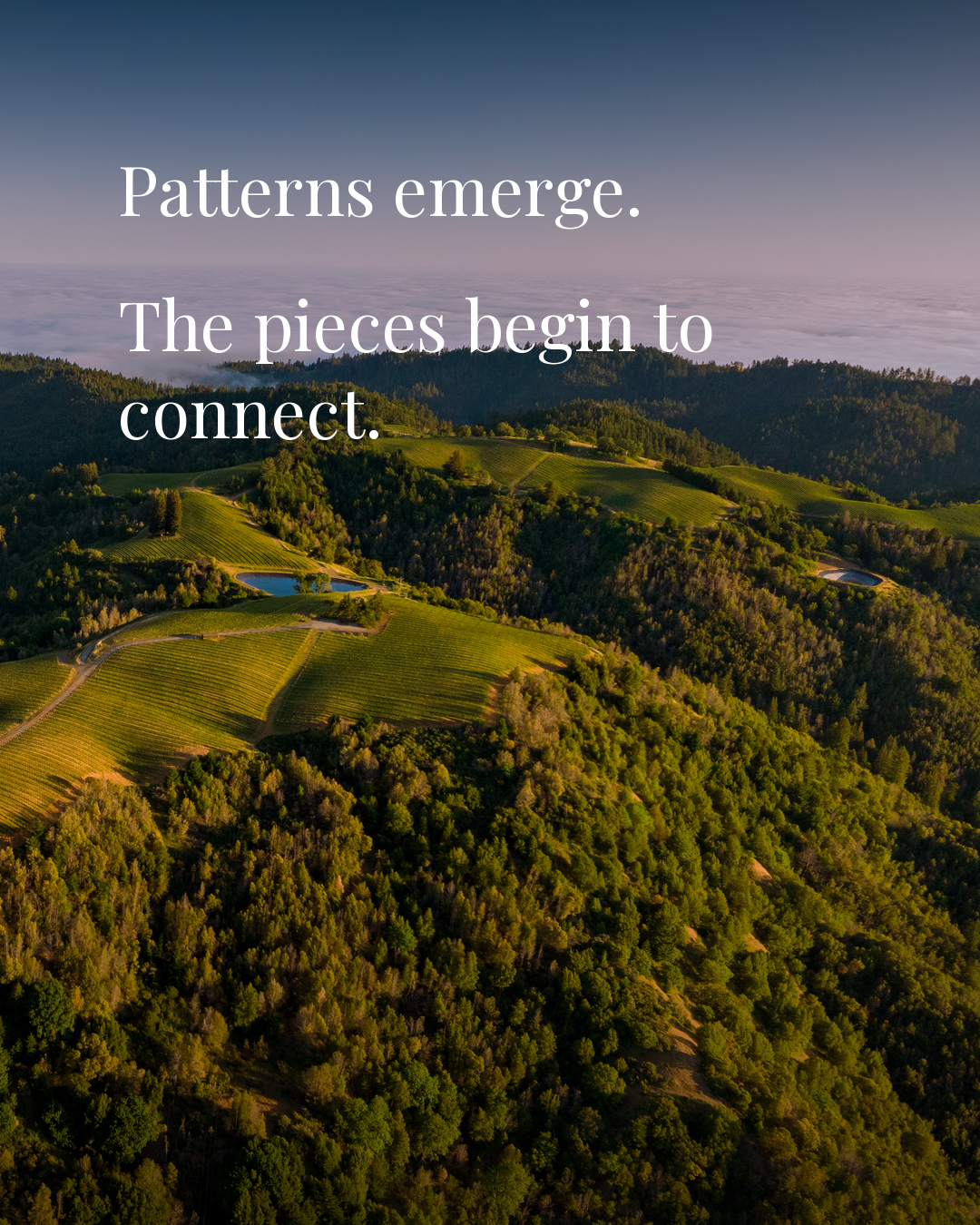 Patterns emerge. The pieces begin to connect.