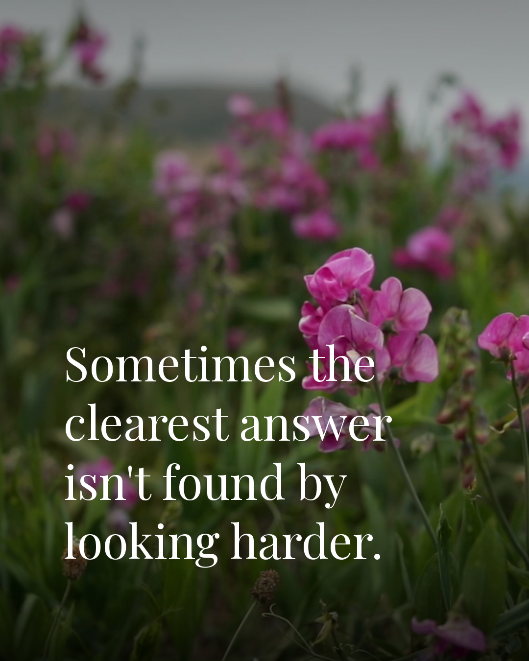 Sometimes the clearest answer isn’t found by looking harder.