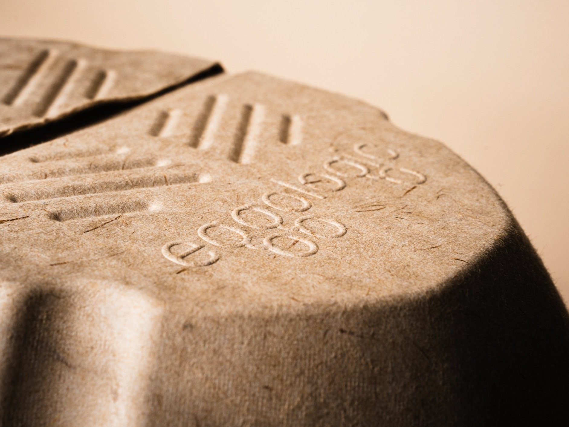 Detail of Eggologic logo embossed in molded fiber