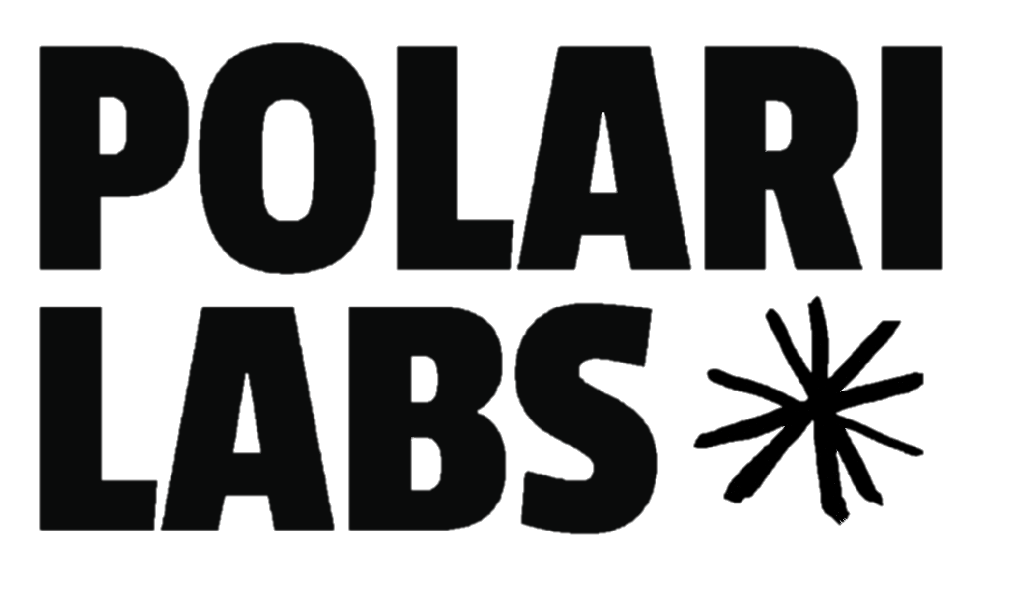 Polari Labs Logo