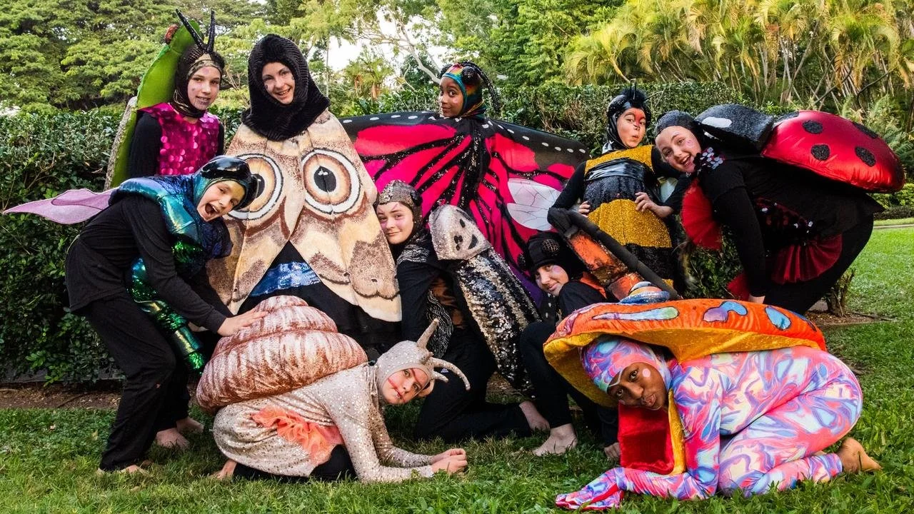 Perry Studio performance