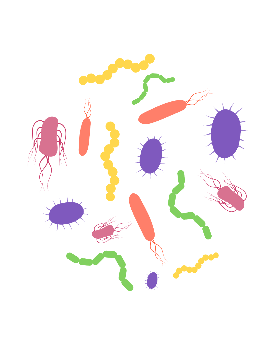 Tag 2 – Mikrobiom