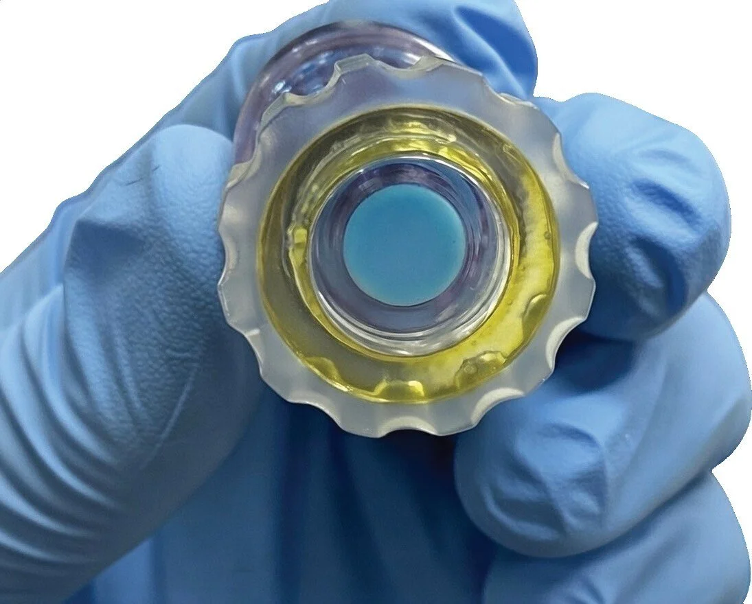 Single-use QIKcap held in a gloved hand