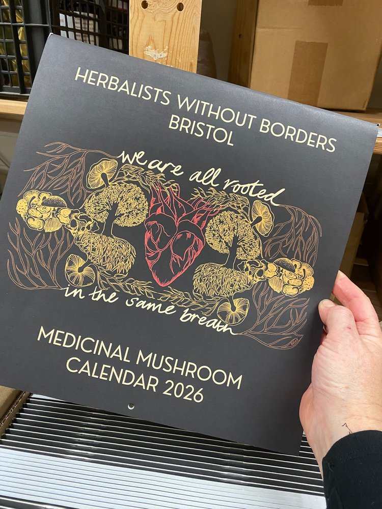 mushroom calendar 2026