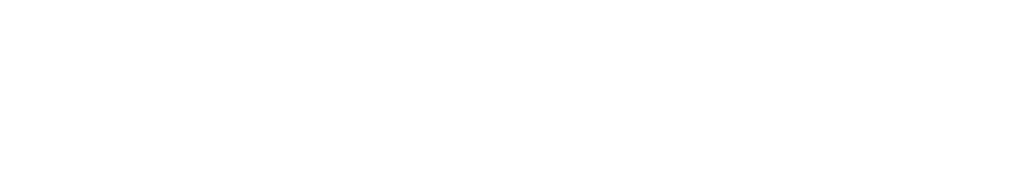 Danmission