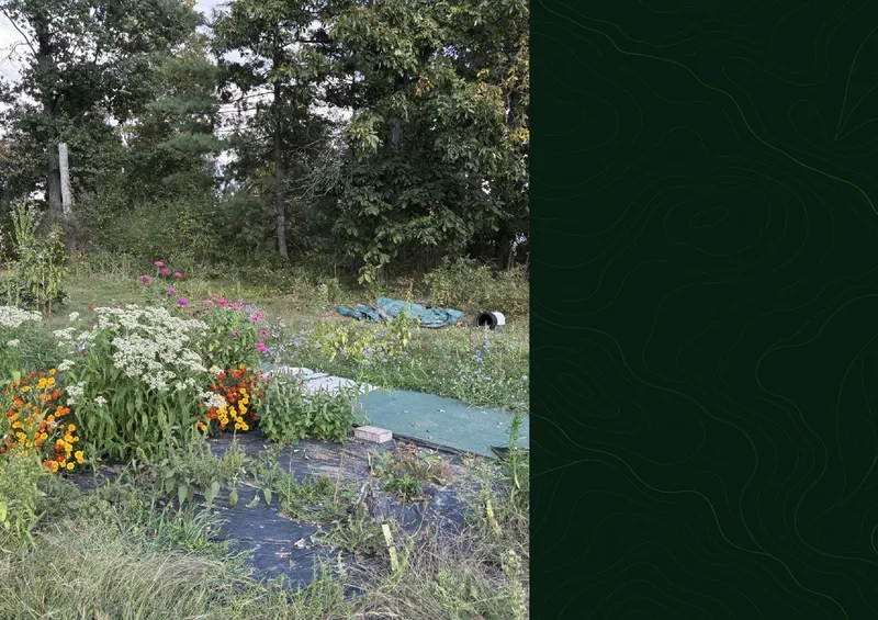 Native meadow planting at Emmitsburg