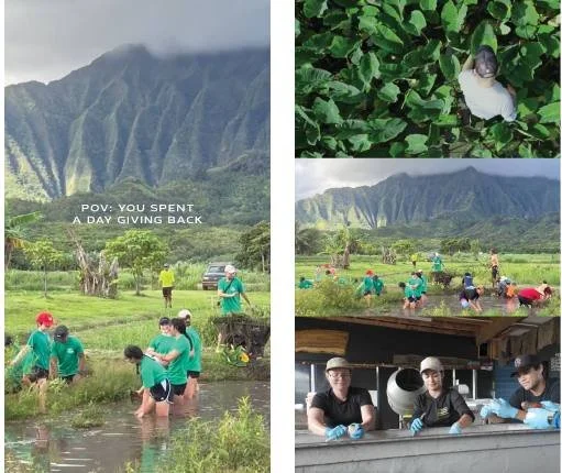 Kākoʻo ʻŌiwi Experience Vlog reference frames