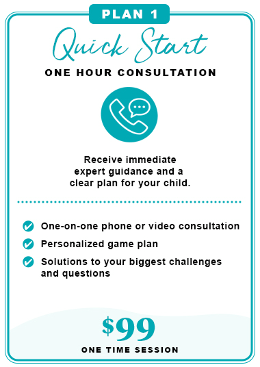 Plan 1 - Quick Start Consultation