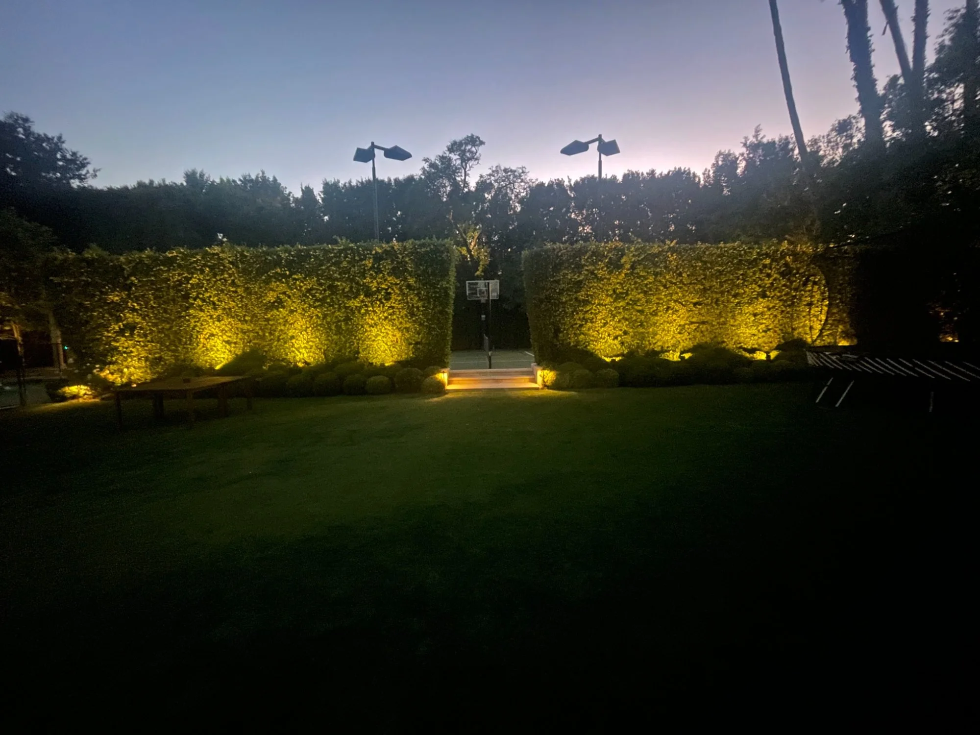 Estate backyard landscape lighting