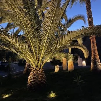 Professional landscape lighting and Christmas lights in Malibu, CA by Elegant Outdoor Lights