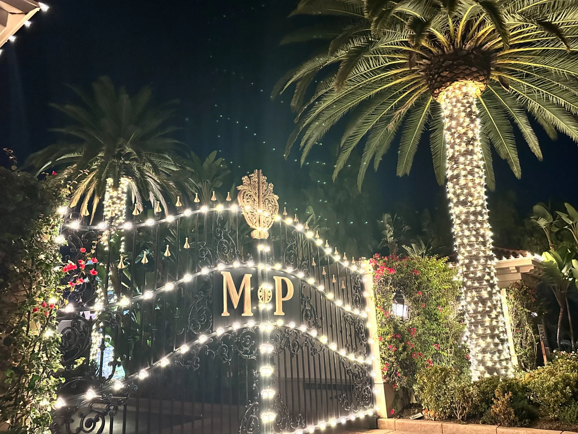 Estate gate with palm tree Christmas lights — luxury home holiday lighting