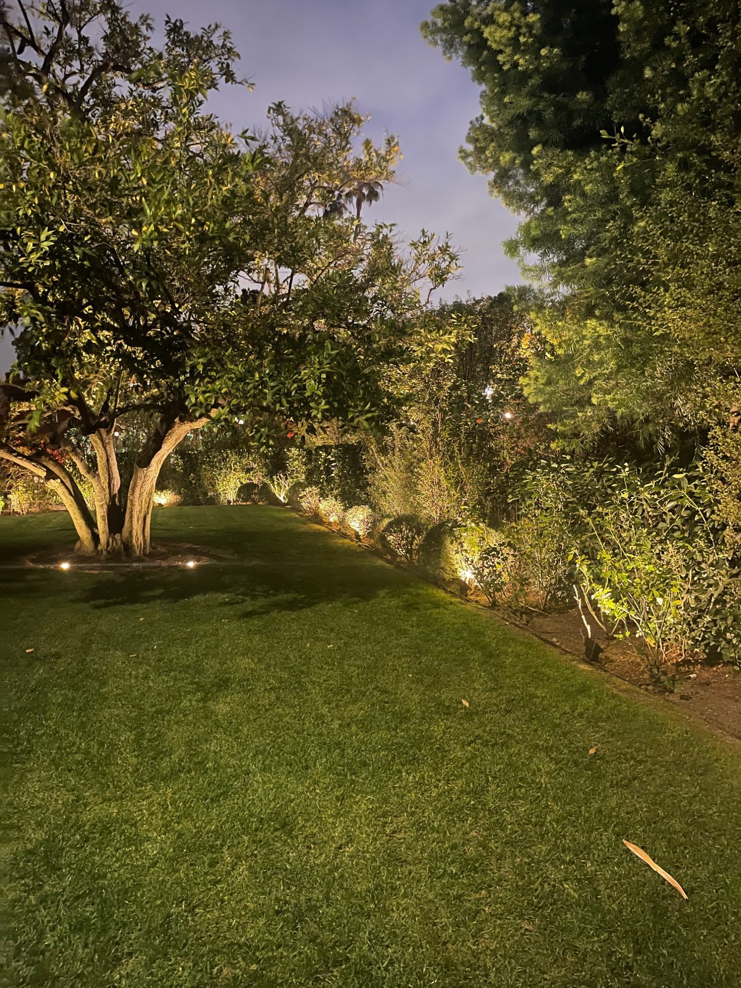 Studio City landscape lighting