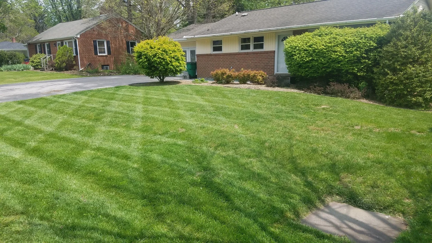 Striped residential lawn beside a single-story home