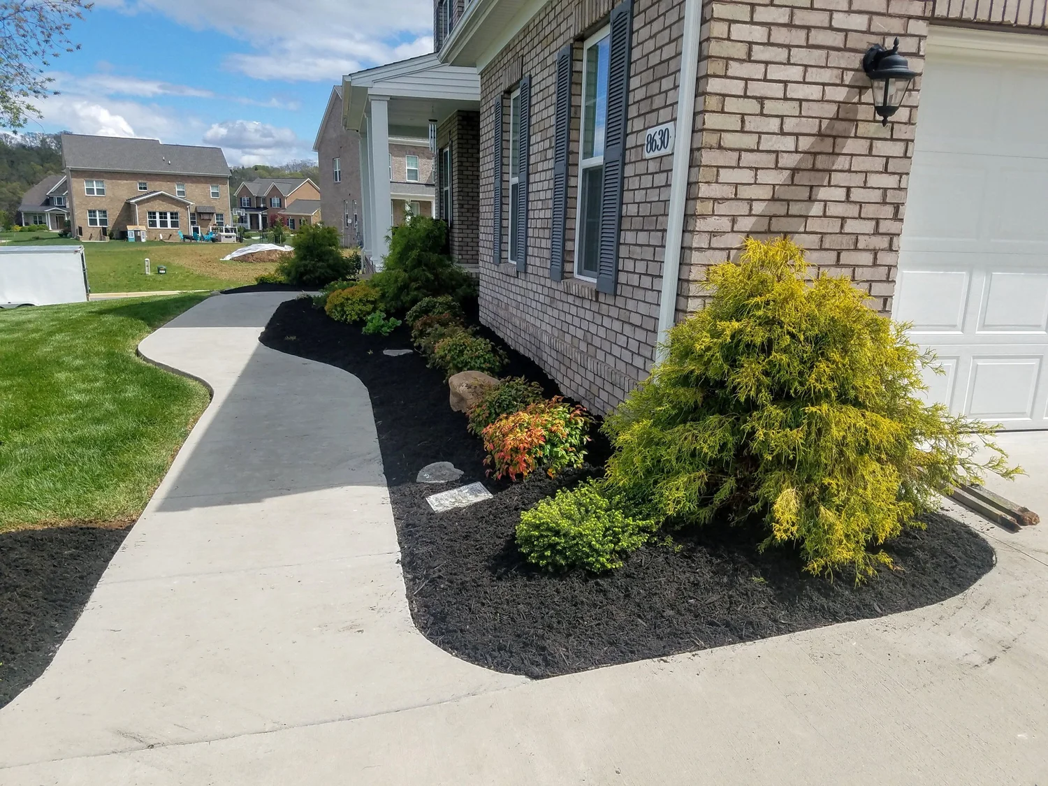 Fresh dark mulch and shaped landscape beds beside a curved walkway