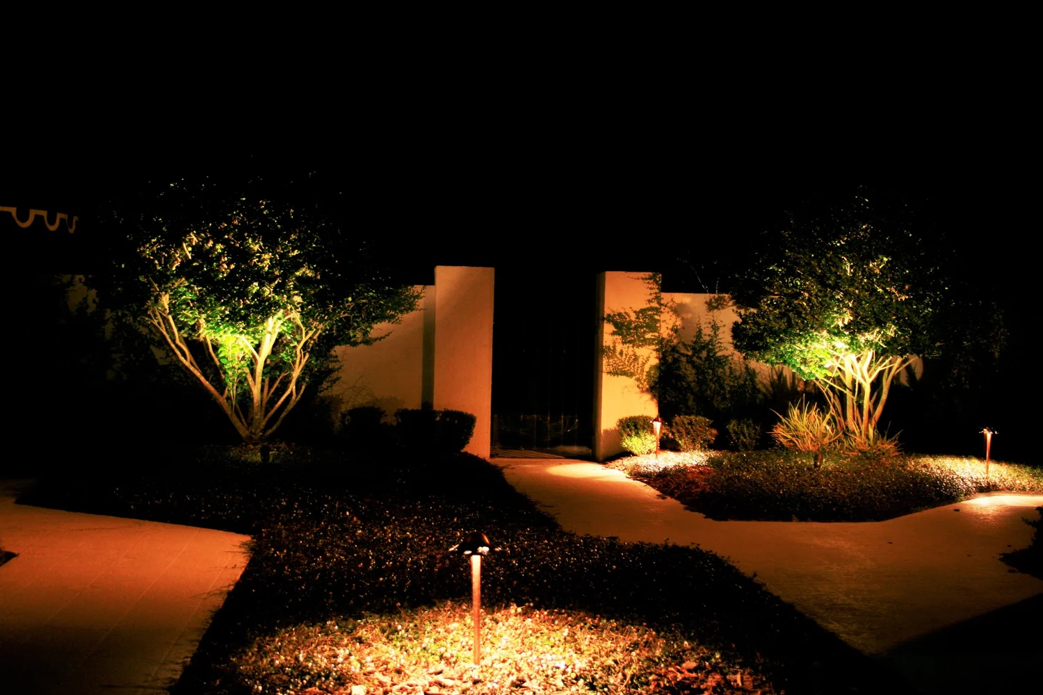 Representative landscape lighting: warm path lights and illuminated trees at night