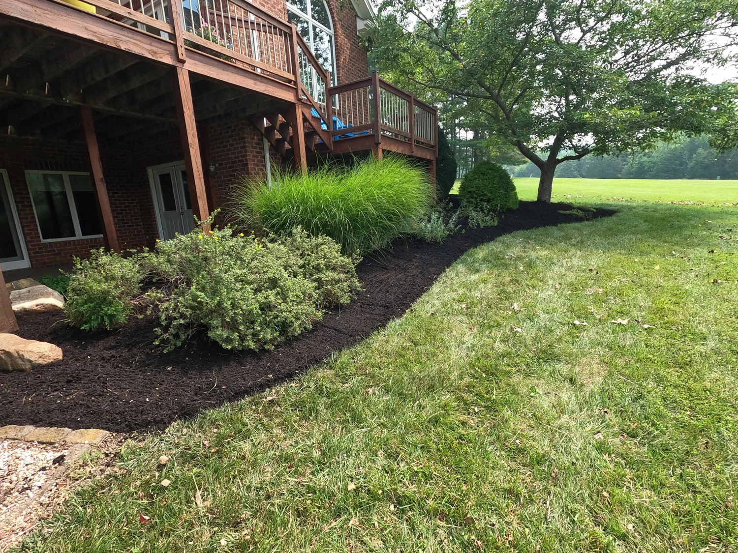 Mulched planting bed with grasses and shrubs below a residential deck