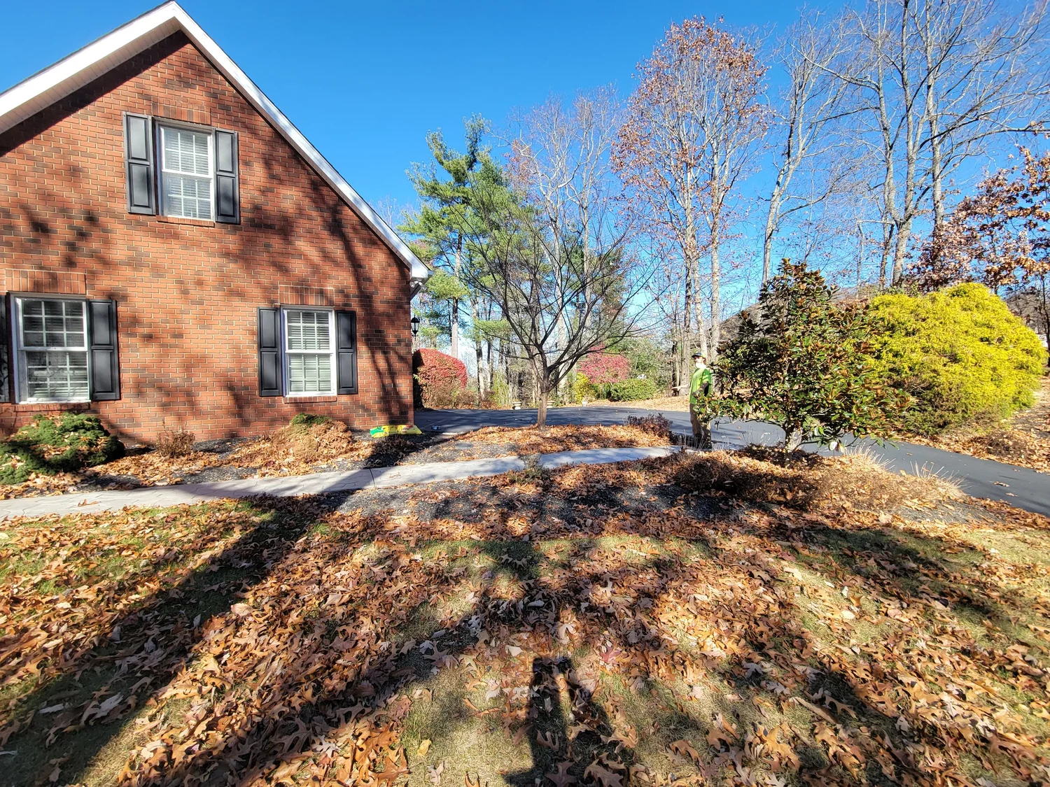Leaves gathered along the lawn and beds at a residential property