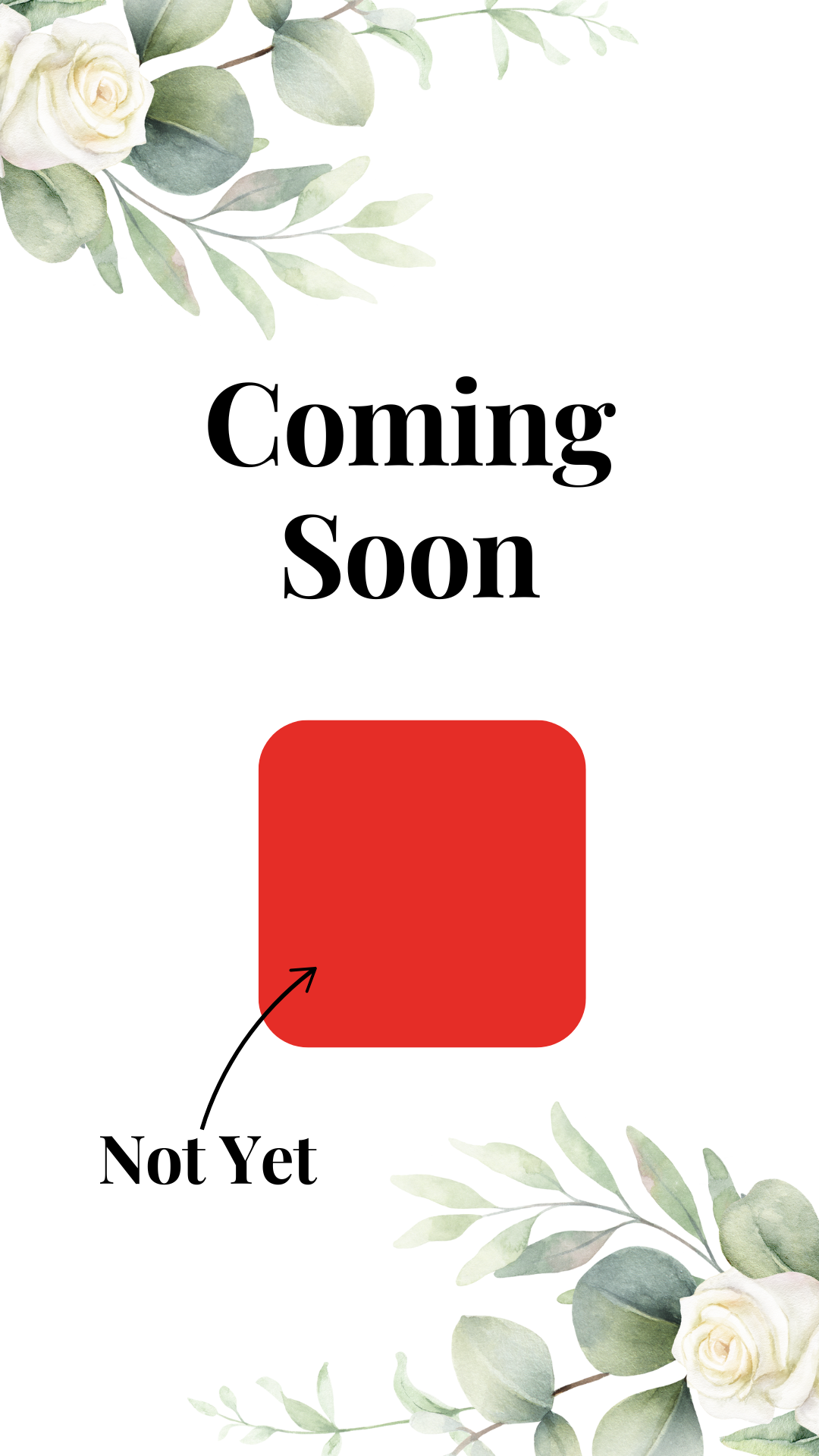 Image Coming Soon