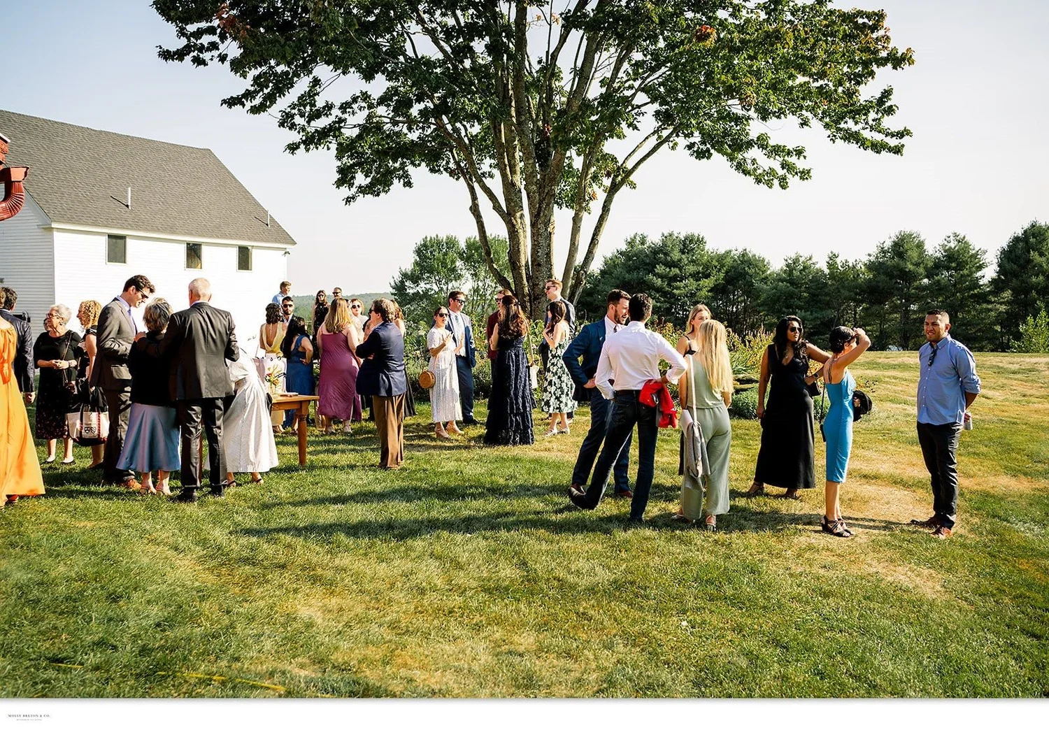 Cocktail hour under a big shade tree beside the farmhouse