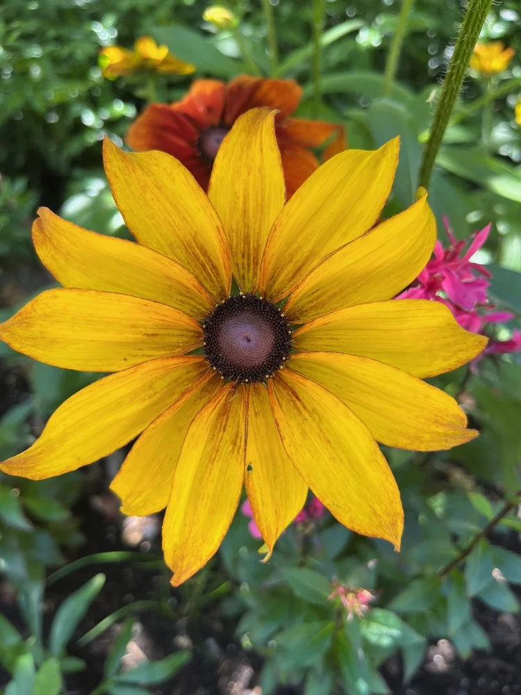 Stanley Park flowers before the cruise · Alaska 2026