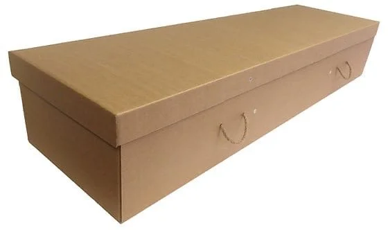 DaisyBox - Kraft