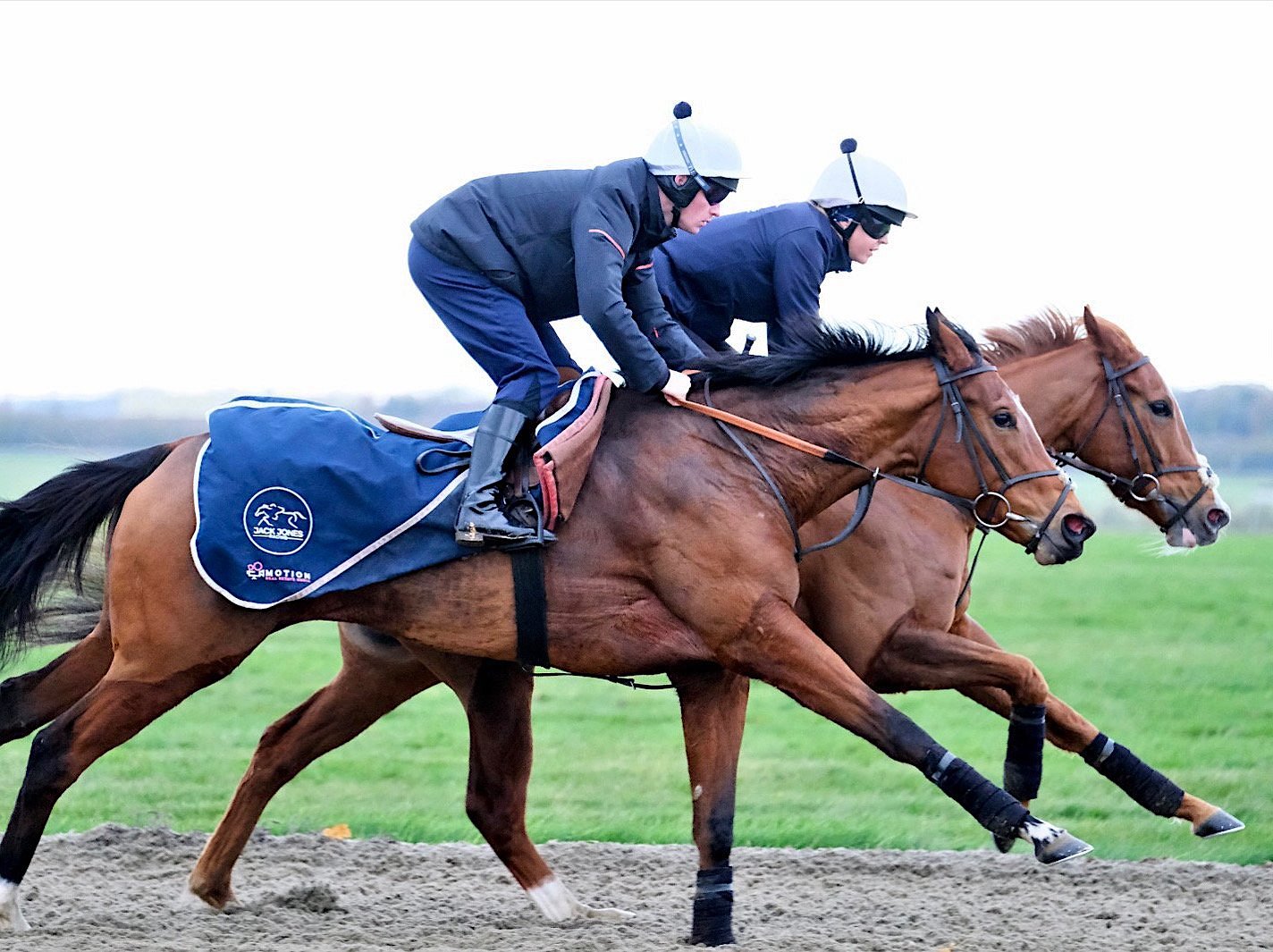 Newmarket Image