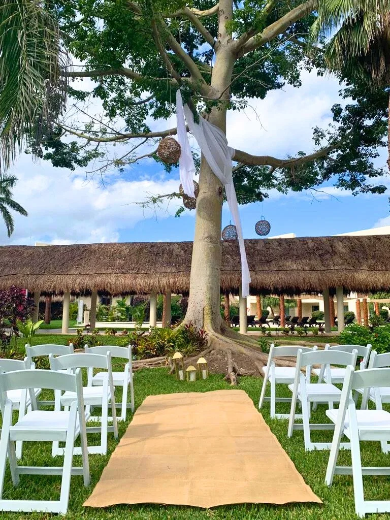 Ceiba Tree ceremony venue at Dreams Puerto Morelos Resort and Spa in Mexico, portrait image showing the full tree