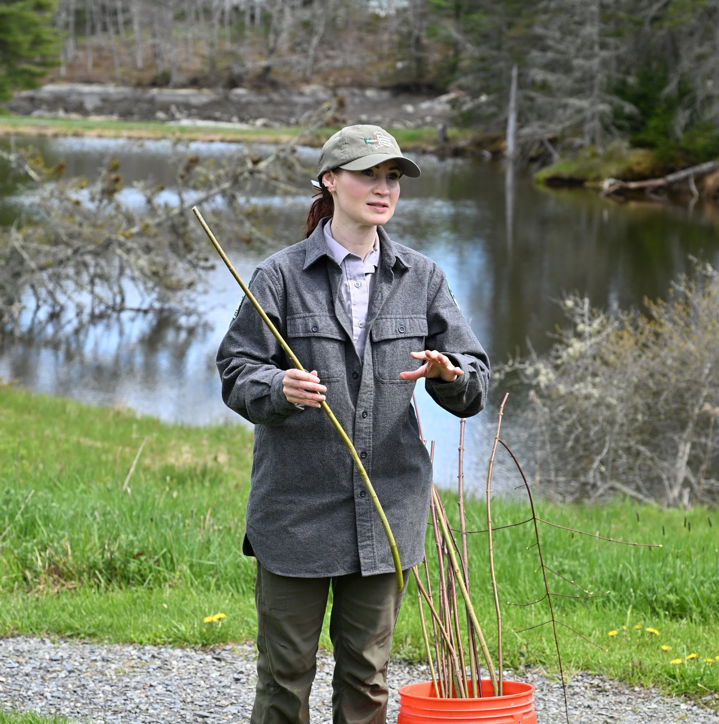 Allyssa Gregory live staking technique