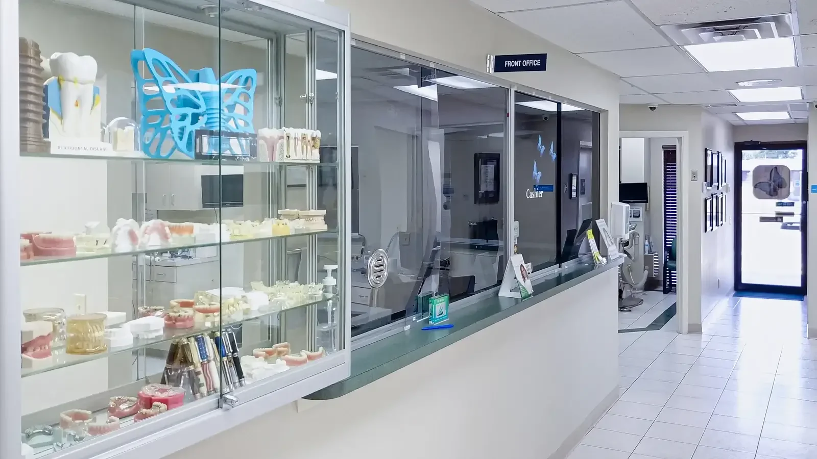 Dental office corridor with a glass display of dental models and a front-office window.