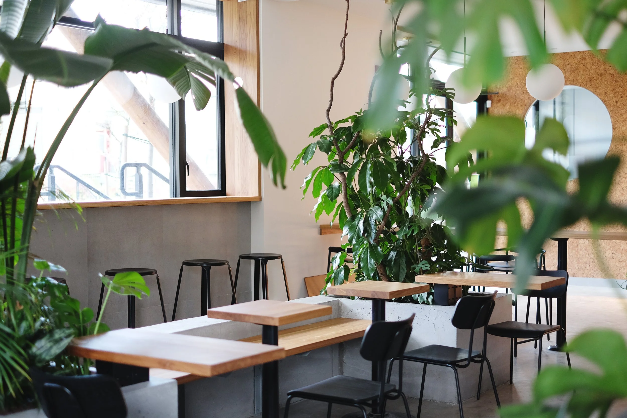 Inside a Nomad café