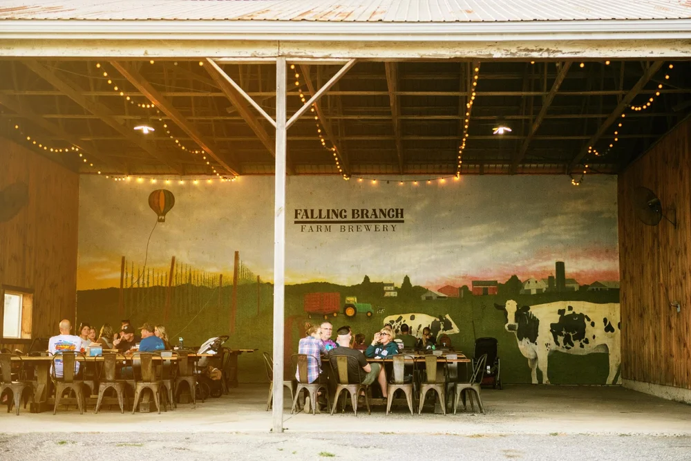 Guests at long tables in the covered pavilion under string lights, in front of the farm mural